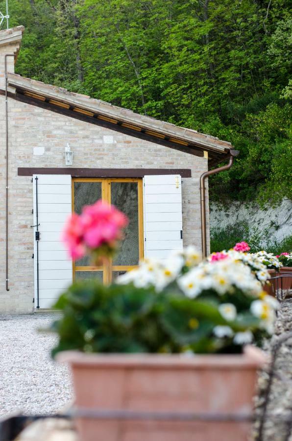 乌尔比诺Calmancino Delle Selve住宿加早餐旅馆 外观 照片