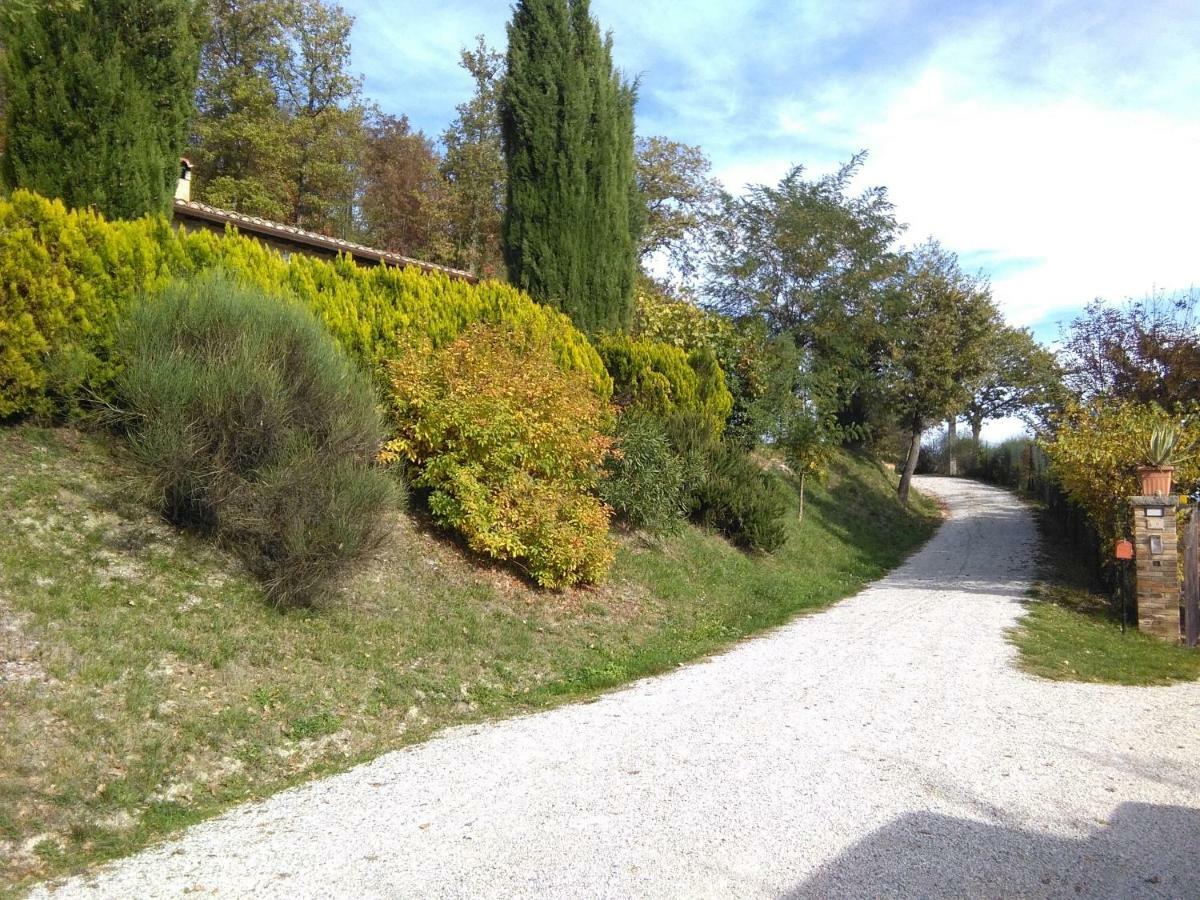 乌尔比诺Calmancino Delle Selve住宿加早餐旅馆 外观 照片